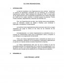 CULTURA ORGANIZACIONAL MONOGRAFIA CASO PERUANO: AJEPER