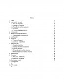 Calculo “Utilización de Materiales Reciclables en la Construcción de Huertos Urbanos para el Autoabastecimiento de Alimentos”