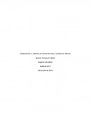 Implementar un sistema de control de ruido y protección