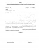 EL NUEVO OFICIO DE REMISION DEL MEMORANDUM DE CONTROL INTERNO AL TITULAR DE LA ENTIDAD