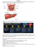 HEPATITIS C Perfil serológico de la hepatitis C