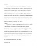 El presente documento es un diagnóstico realizado al Hotel Maratea