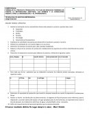 ANALISIS TECNICO- OPERATIVO