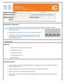 Lab. Dinámica Movimiento Rectilíneo Uniforme