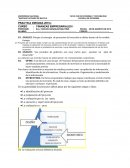 Practica dirigida de fianzas empresariales