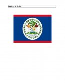 Bandera de Belize