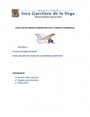 BALANZA DE PAGOS EN LA ECONOMIA AMERICANA