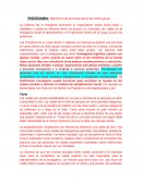 ENDOGAMIA: Matrimonio de personas dentro del mismo grupo