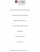 Desarollo de mercados