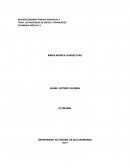 LOS MERCADOS DE BIENES Y FINANCIEROS