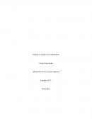 Trabajo en equipo en la organización. Administración de recursos humanos