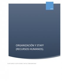 ORGANIZACION Y STAFF. Página 1
