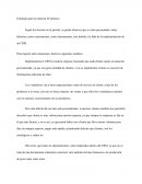 Estrategia para la empresa el quimico