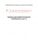 Desarrolo emprendedor