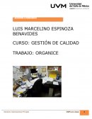 GESTIÓN DE CALIDAD TRABAJO: ORGANICE