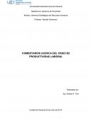 Comentarios de Productividad Laboral
