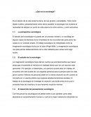 Qué es la sociología ensayo