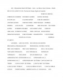 DESCRIPCIÓN CÓDIGO DOCUMENTO VIGENTE DOCUMENTO OBSOLETO	LÁMINAS