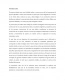 Construcción de una casa