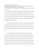 Resumen Del Libro Medicen Sara Tomate