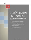 VICIOS PROCESALES , EXTERNOS O EXTRÍNSECOS