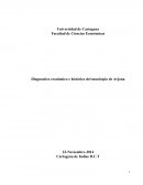 Diagnostico económico e histórico del municipio de Arjona