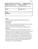 Tarea 1