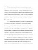 El niño en crecimiento