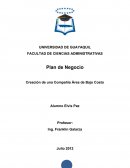 Creación de una Compañía Área de Bajo Costo