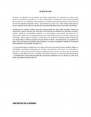 RESUMEN EJECUTIVO CASO MACONDO