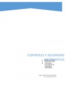 Definicion de CEO. Funciones encargado de Seguridad informatica