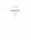Neumatica
