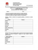 Sistema endocrino, sistema reproductor y contenido pèlvico I