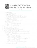 Plan de exportacion