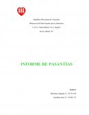 INFORME DE PASANTÌAS Empresa Bresan Aduanas, C,A