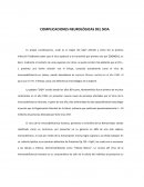 COMPLICACIONES NEUROLÒGICAS DEL SIDA