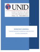 ¿Cuáles son los principios del Derecho Laboral?