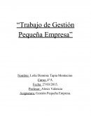 Trabajo de Gestión Pequeña Empresa.