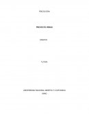 Ensayo proyecto venus