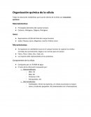 Organización química de la célula . Todas las reacciones metabólicas que ocurren dentro de la célula son reacciones químicas.