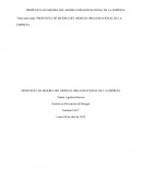 PROPUESTA DE MEJORA DEL MODELO ORGANIZACIONAL DE LA EMPRESA