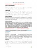 Otros tipos de cultura organizacional.