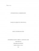 Trabajo colaborativo