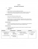 CASO Nº2: GREG NORMAN: TODO NEGOCIOS