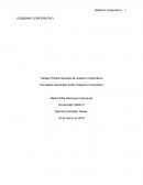 Conceptos Generales Sobre Gobierno Corporativo