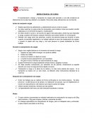 Manejo manual de carga