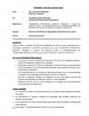 Informe de seguridad