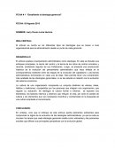 Administración de las organizaciones. Desafiando la ideología gerencial