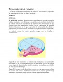 REPRODUCCION CELULAR