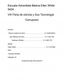 Corrupcion. Observación de la realidad Problemática